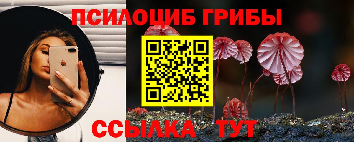 Псилоцибиновые грибы Cubensis  Вход с VPN  Псилоцибиновые грибы мицелий  Крымск 