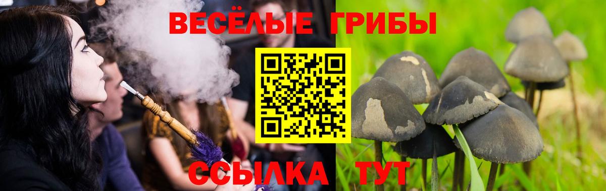 Псилоцибиновые грибы мухоморы Крымск